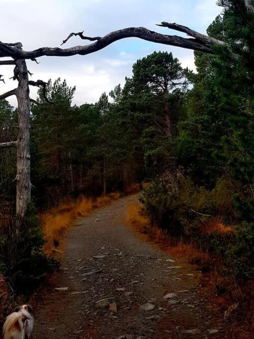 Leilighet I Enebolig Pa Valderoya Ved Alesund Ytterland Ngoại thất bức ảnh